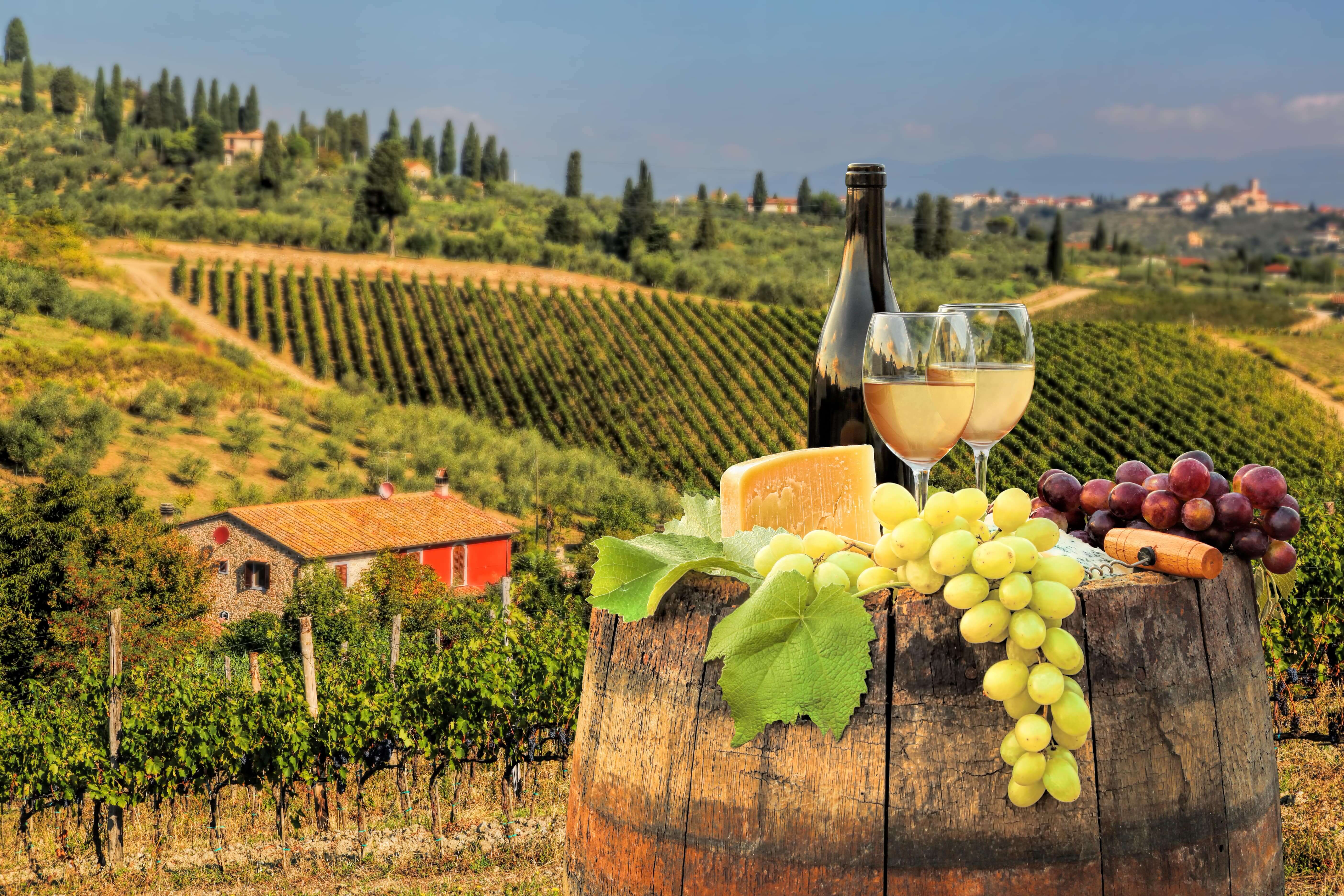 White wine with barrel on famous vineyard in Chianti, Tuscany, Italy